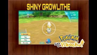 How to catch Shiny Growlithe  Pokémon Lets Go Pikachu amp Eevee [upl. by Mickelson]