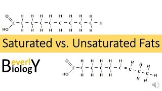 Saturated vs Unsaturated Fats [upl. by Dynah]