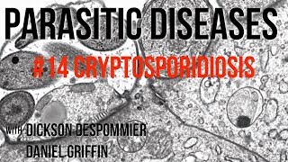 Parasitic Diseases Lectures 14 Cryptosporidiosis [upl. by Ciccia]