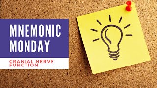 Cranial Nerve Function Easy to Remember and DRAW  Mnemonic Monday [upl. by Sandy]