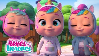 BEBÉS LLORONES 💦 LÁGRIMAS MÁGICAS 💕 CAPITULOS y Episodios 😍 Completos para NIÑOS en español [upl. by Ahseek333]