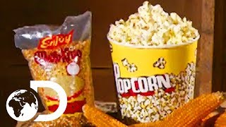 POPCORN  How Its Made [upl. by Mandell]