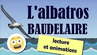 Lalbatros  poème de Charles Baudelaire  Lecture [upl. by Cami854]