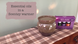 Essential oils in a Scentsy warmer [upl. by Ahseina]