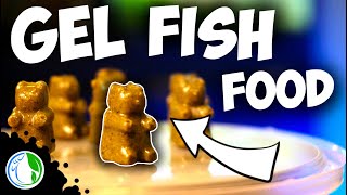 DIY GEL FISH FOOD  HOMEMADE REPASHY GUMMY BEAR FISH FOOD [upl. by Lawan963]