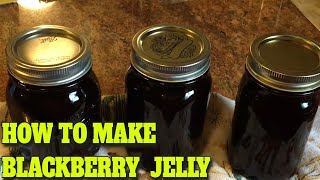 BLACKBERRY JELLY  STEP BY STEP  EASY…DELICIOUS RECIPE [upl. by Ahsenrat397]