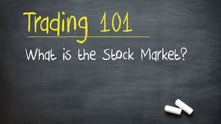 Trading 101 What is the Stock Market [upl. by Ellednek544]