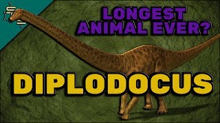 Diplodocus Facts For Children  The DoubleBeamed Lizard [upl. by Eladnor]