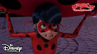 🐞💥 Top 5 momente din Miraculous Buburuză și Motan Noir  Disney Channel România [upl. by Orwin]