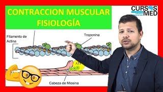 CONTRACCIÓN MUSCULAR FISIOLOGÍA GUYTON explicada FACIL ✅ [upl. by Virge365]