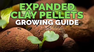 Expanded Clay Pellets Hydroton Growing Guide [upl. by Mudenihc]