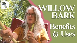 Willow Bark Benefits and Uses [upl. by Grados13]