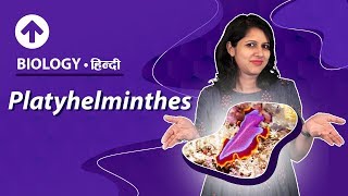 Platyhelminthes  Hindi  Diversity In Living Organisms  Biology Class 9 [upl. by Barbour]