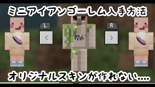 【マイクラ】おんりースキン入手方法 21【マインクラフト 】 [upl. by Nai]