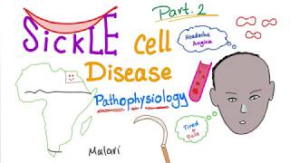 Lecture 1 Terpenes and Terpenoids [upl. by Eibbed]