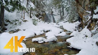 4K Winter Beauty of Canadian Nature  Part 3  Scenic Lakes and Waterfalls of Canada [upl. by Lirrad]