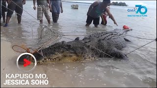 Kapuso Mo Jessica Soho Dambuhalang buwaya nahuli sa Simunul Tawitawi [upl. by Stevy993]