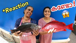 മീനും പിടിച്ചു വീട്ടിൽ ചെന്നപ്പോ  Backwater Fishing Kerala [upl. by Sadler]