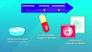 Hormones et procréation humaine SVT 2de [upl. by Farro157]