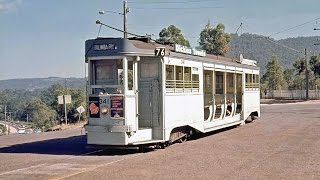 Remembering the Brisbane Tramways  All those years ago [upl. by Ayr]