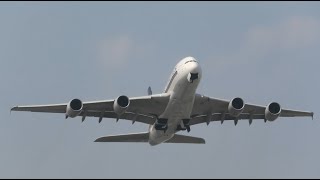 Plane Spotting From Myrtle Avenue  London Heathrow LHR [upl. by Ehtyde6]