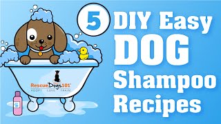 5 Easy Homemade DIY Dog Shampoo Recipes [upl. by Lu224]