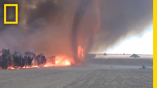 WATCH Fire Tornado Captured in Rare Video  National Geographic [upl. by Dallman]