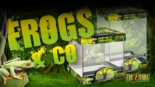 Exo Terra Frogs amp Co  Frog Terrariums [upl. by Massarelli]