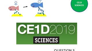 CE1D Sciences 2019 question 3  corrigé [upl. by Asum]