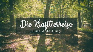 Finde dein KRAFTTIER  Eine Anleitung für die SCHAMANISCHE REISE [upl. by Ahsenod974]