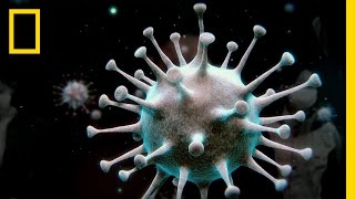 The Viruses That Changed Our World [upl. by Odilo]