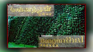 Senganthal Poonga A Fun Horticulture Park in Chennai [upl. by Yenattirb]