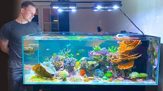 GERMAN REEF TANKS  quotDesigner Shallow Coral Reefquot  800 liter  215 gallon aquarium [upl. by Kimon]