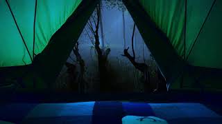 Instant deep sleep in a tent with continuous heavy rain and the sound of thunder in the forest [upl. by Tshombe161]