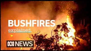 The science of bushfires explained  ABC News [upl. by Odlopoel]