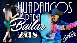 Los Mejores HUAPANGOS Para Bailar 2018 DjTito [upl. by Bithia]