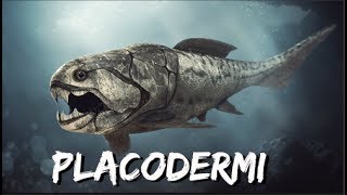 Placodermi  Documentary [upl. by Odele665]