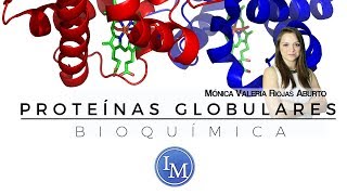 Bioquímica  Proteínas Globulares [upl. by Lobiv]