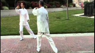 Two people mirror Tai Chi form 8 [upl. by Ehlke]