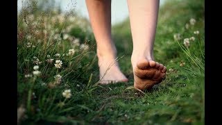 Documental sobre el Earthing quotThe Groundedquot Subtítulos en Español [upl. by Diba64]