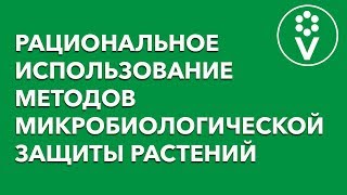 БЕСПЛАТНАЯ запись семинара Ивана Русских [upl. by Inalaeham]