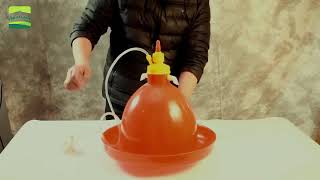 Poultry Automatic Drinker  Chicken Drinking Bucket  Install and Use [upl. by Vidovic]