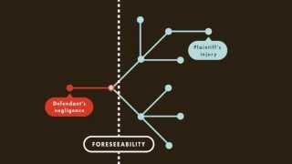 Tort Law tutorial Proximate Causation  quimbeecom [upl. by Allis]