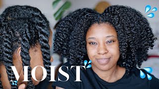 Moisturise DRY Natural Hair In 4 Easy Steps 🔢 Detailed wProduct Recommendations [upl. by Ainud]