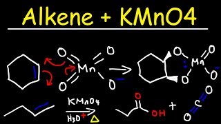 Alkene  KMnO4 Reaction [upl. by Dressler865]