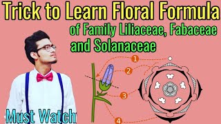 Trick to Write Floral Formulas of Family Fabaceae Solanaceae amp Liliaceae  Morphology via NCERT [upl. by Siblee303]