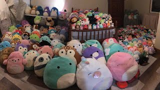 FULL SQUAD PIC WITH MY 254 SQUISHMALLOWS [upl. by Aztinaj]