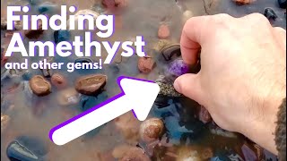 Beachcombing for AMETHYST AGATES and FOSSILS [upl. by Kylie295]