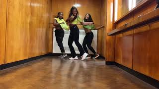 Naira Marley  Tesumole  Dance Video [upl. by Kcirdle577]