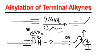 Alkylation of Terminal Alkynes  NaNH2Alkyl Halide  Organic Chemistry [upl. by Adrell]